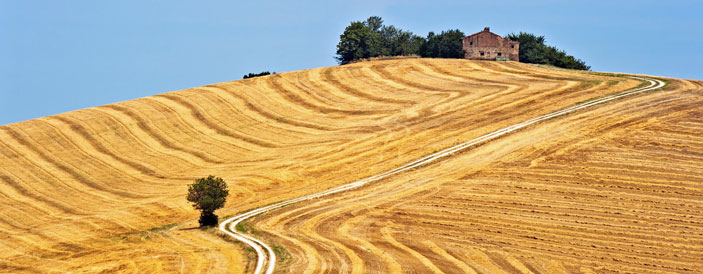 Campagna marchigiana